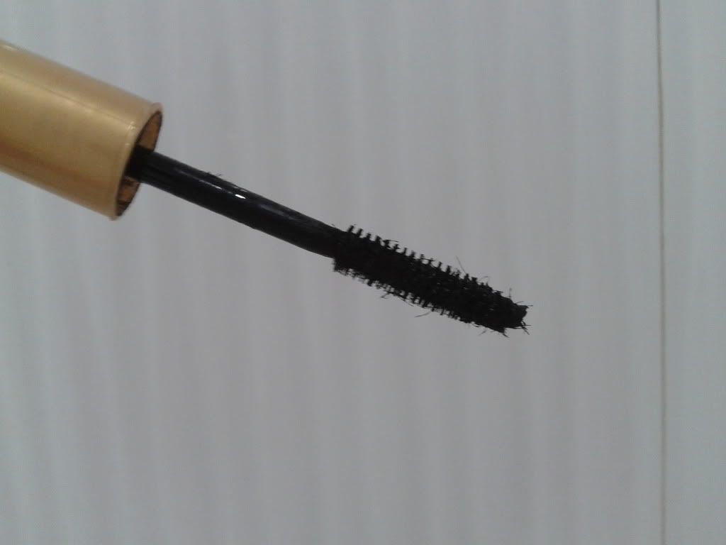 Lash King 3