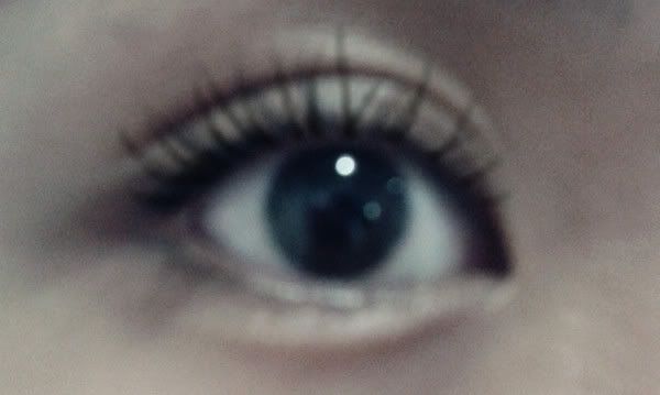 Lash King 3