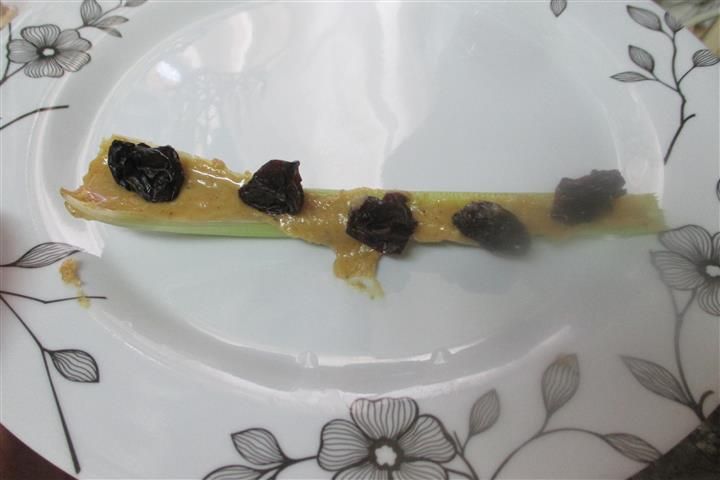 photo IMG_0173 Small_zpsxt4v8rrb.jpg