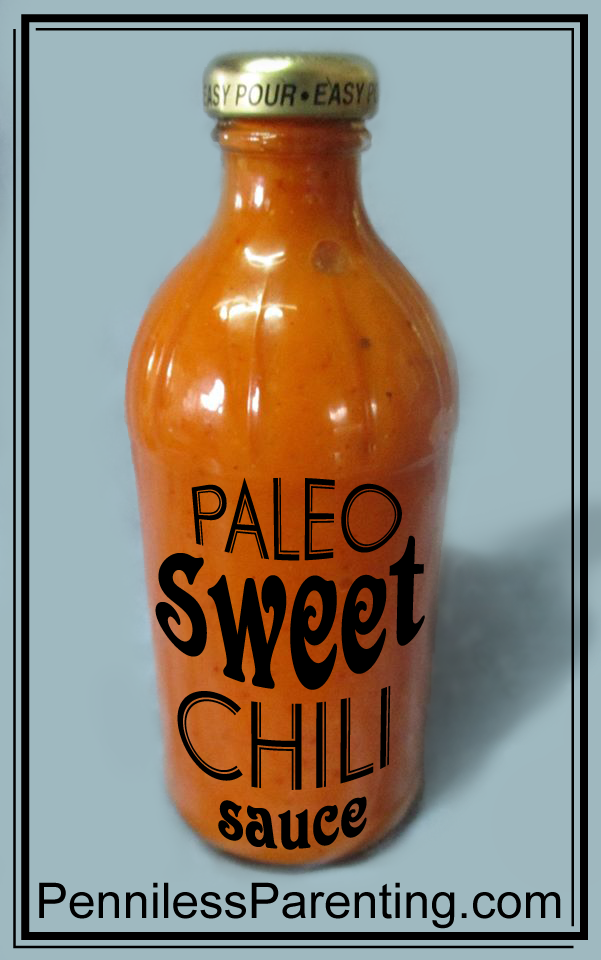  photo Paleo-Sweet-Chili-Sauce-Penniless-Parenting_zpskcqtwa8d.png