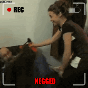 image-1260.gif~original