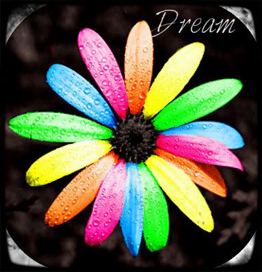 Dream Pictures, Images and Photos
