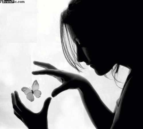 Beautiful Sensation Photo Picture