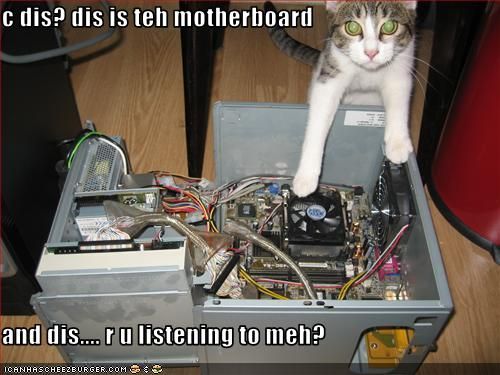 funny-pictures-cat-explains-computers_zpsf8482441.jpg