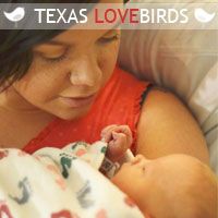 texaslovebirds