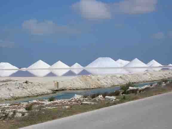 salt mounds