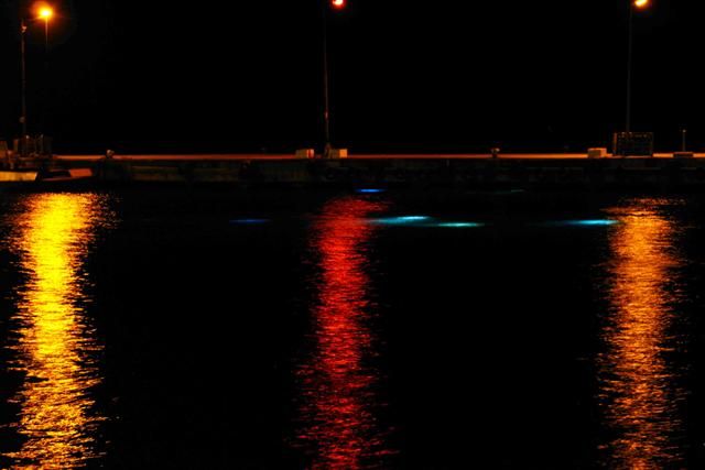 town pier lights