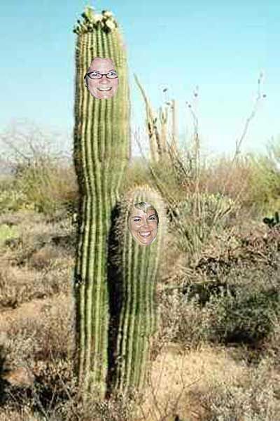 cactusflower.jpg