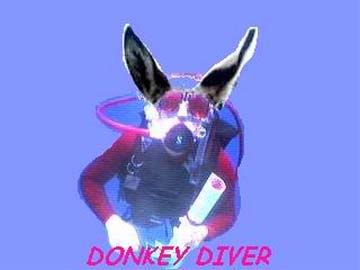 donkeywater