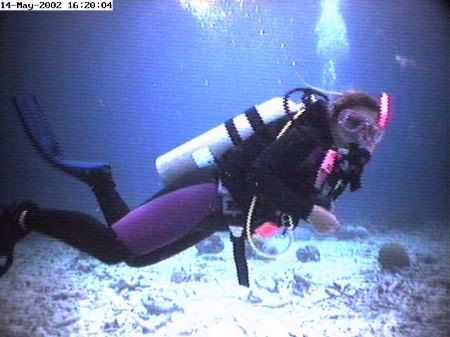 female diver