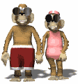 monkeyboy couple