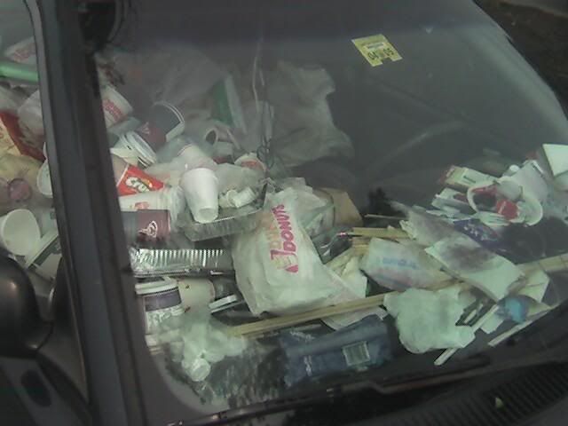 garbage dump for a car