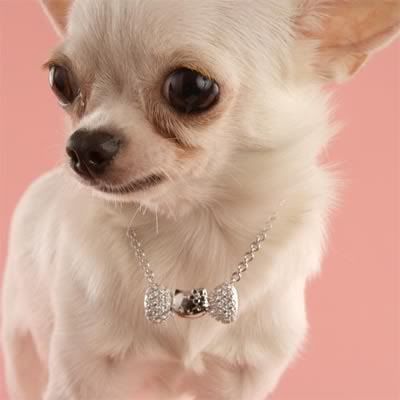 pretty hello kitty doggie necklace