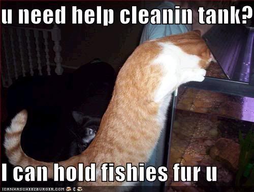 tank cleaner
