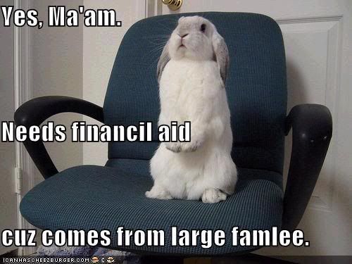 bunny aid