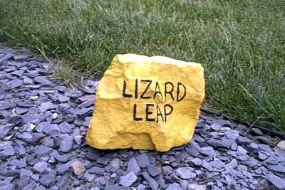 lizard leap