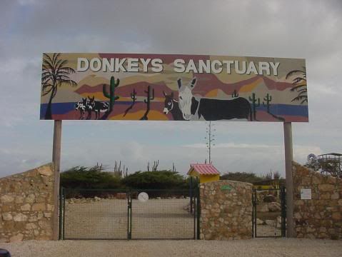 donk sanctuary