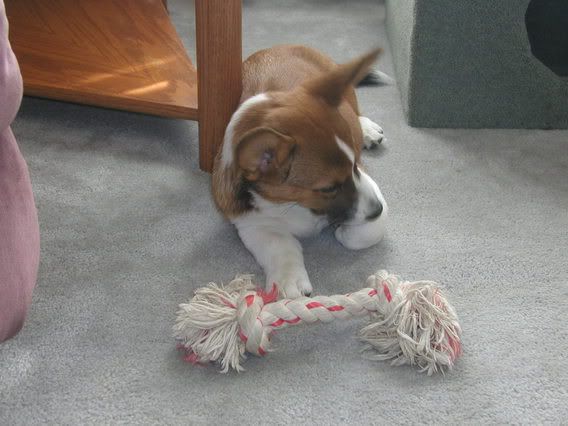 Holle with her Rope