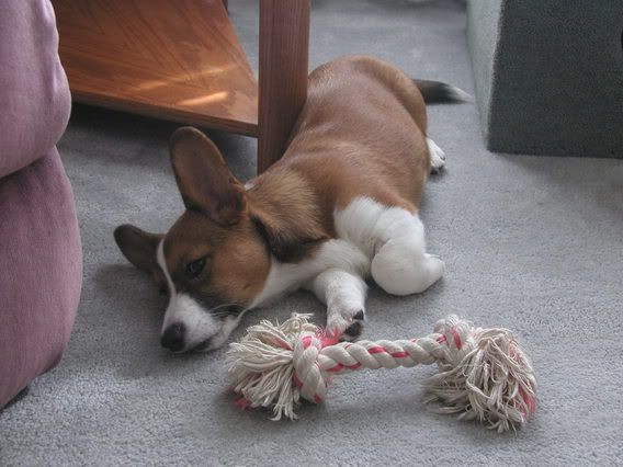 Sleeping with Rope