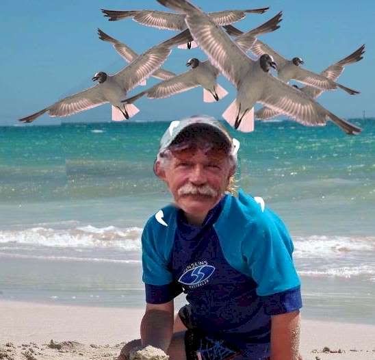 watch out jerry, i told ALL the seagulls you are coming