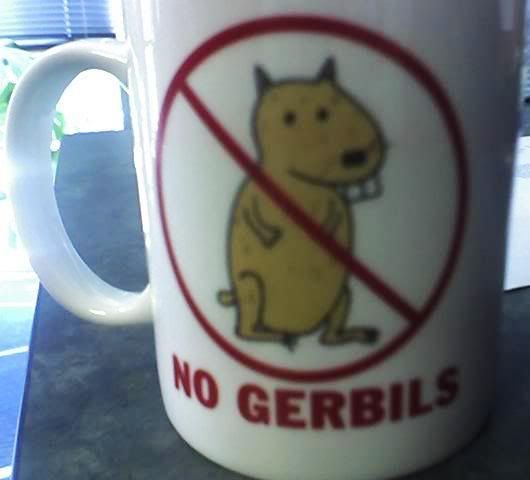no gerbils please