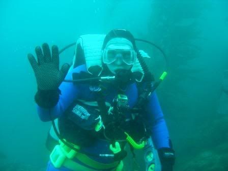 cecil diving catalina