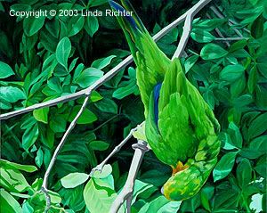 Green Spirit - Copyright (c) 2003 by Linda Richter - All Rights Reserved