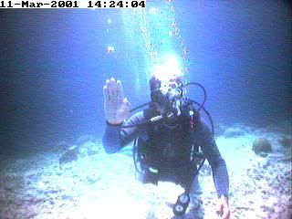 Diver Hi