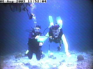divers2.jpg