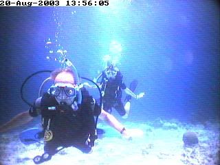divers4.jpg