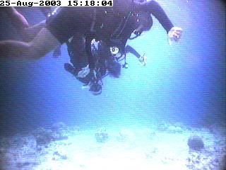 divers5.jpg