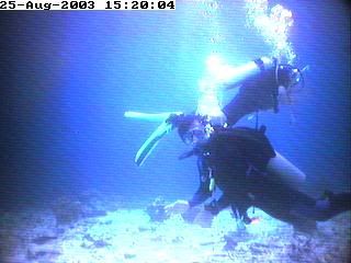 divers6.jpg