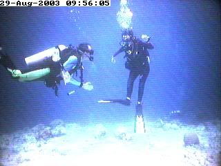 divers8.jpg