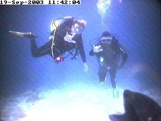divers11.jpg