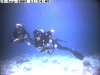 divers13.jpg