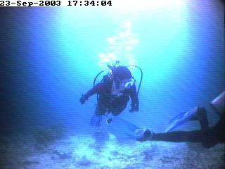 divers14.jpg