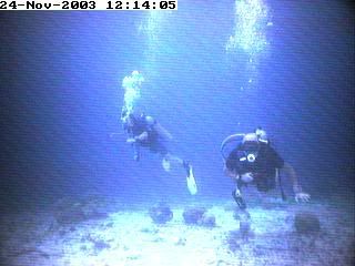 divers4.jpg