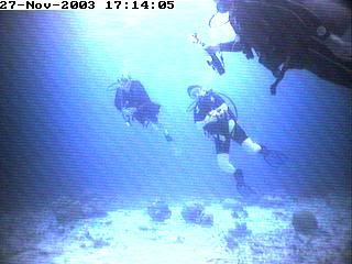 divers2.jpg