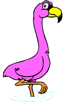flamingo gif 3