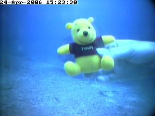 pooh bear dive