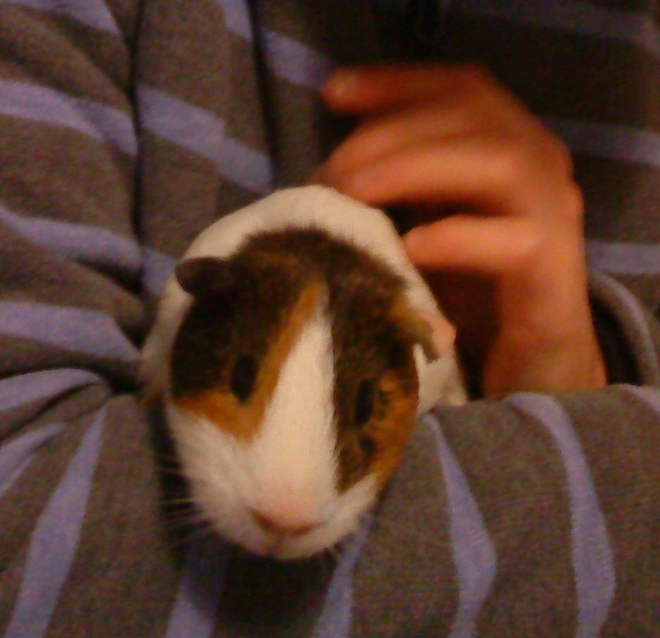 Benny1_zpsa62385d8.jpg