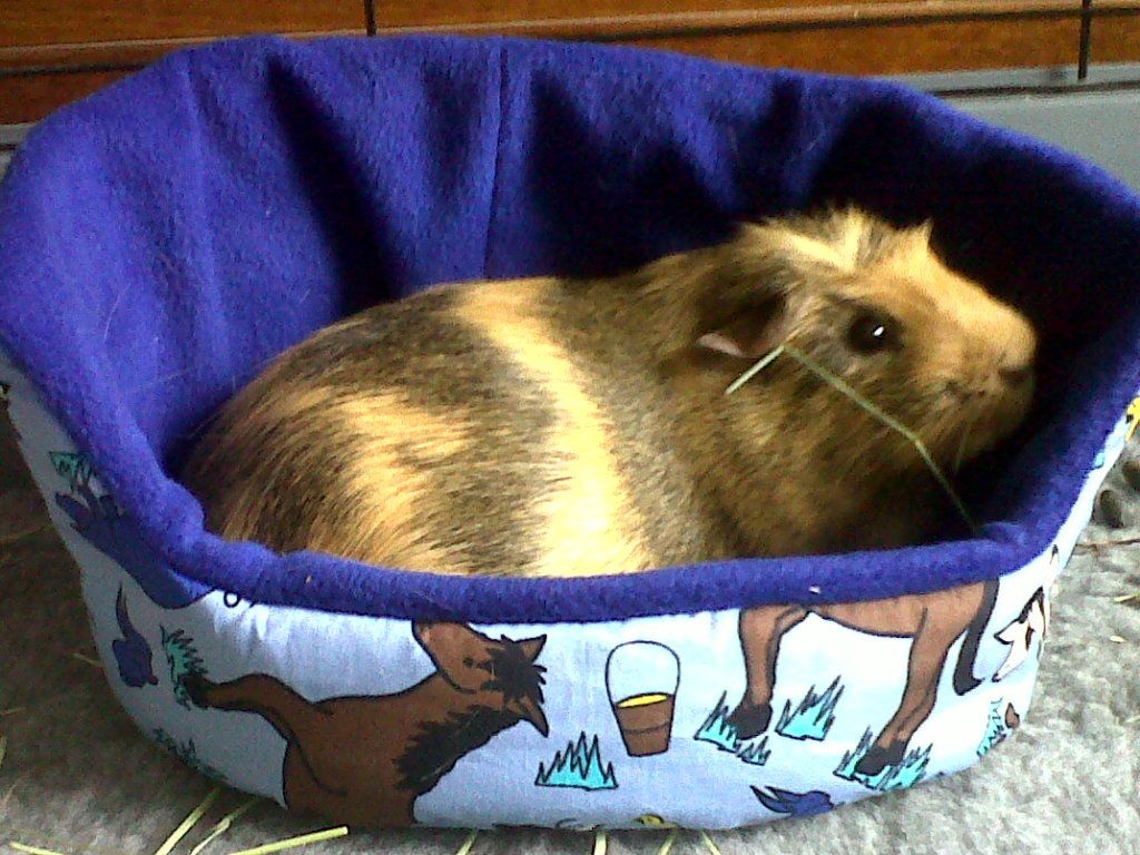 Jerrycuddlecup2_zps537fed7a.jpg