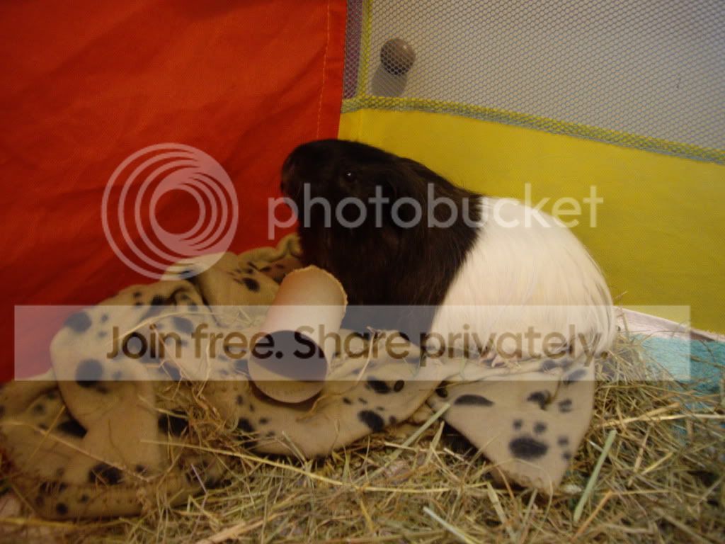 IMGP2566.jpg