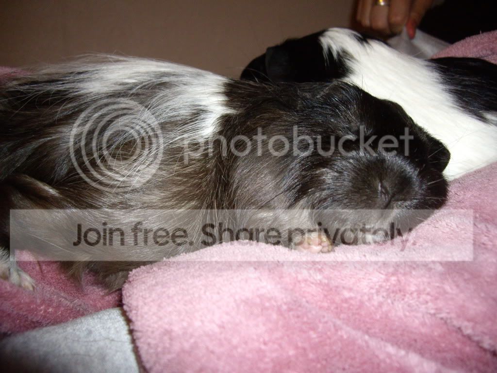 IMGP2638.jpg