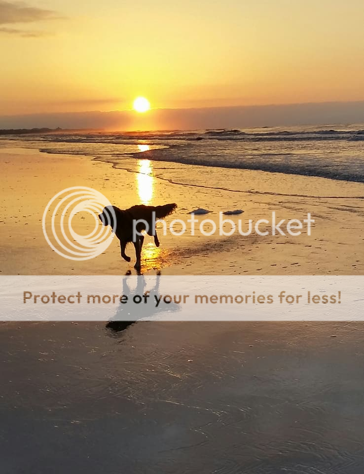 Photobucket - Video and Image Hosting